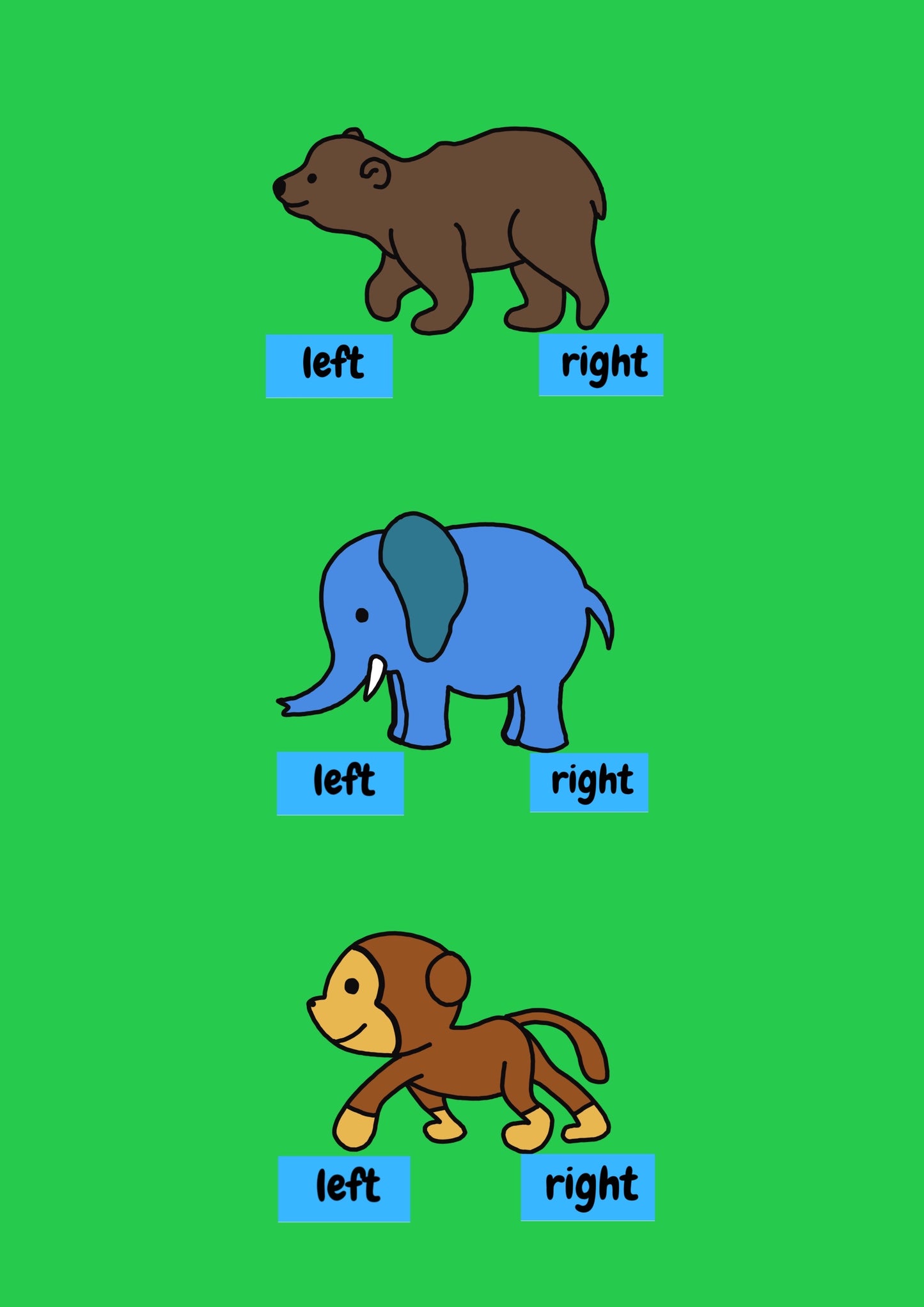 Zoo Pairs