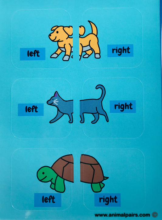 Pet Pairs