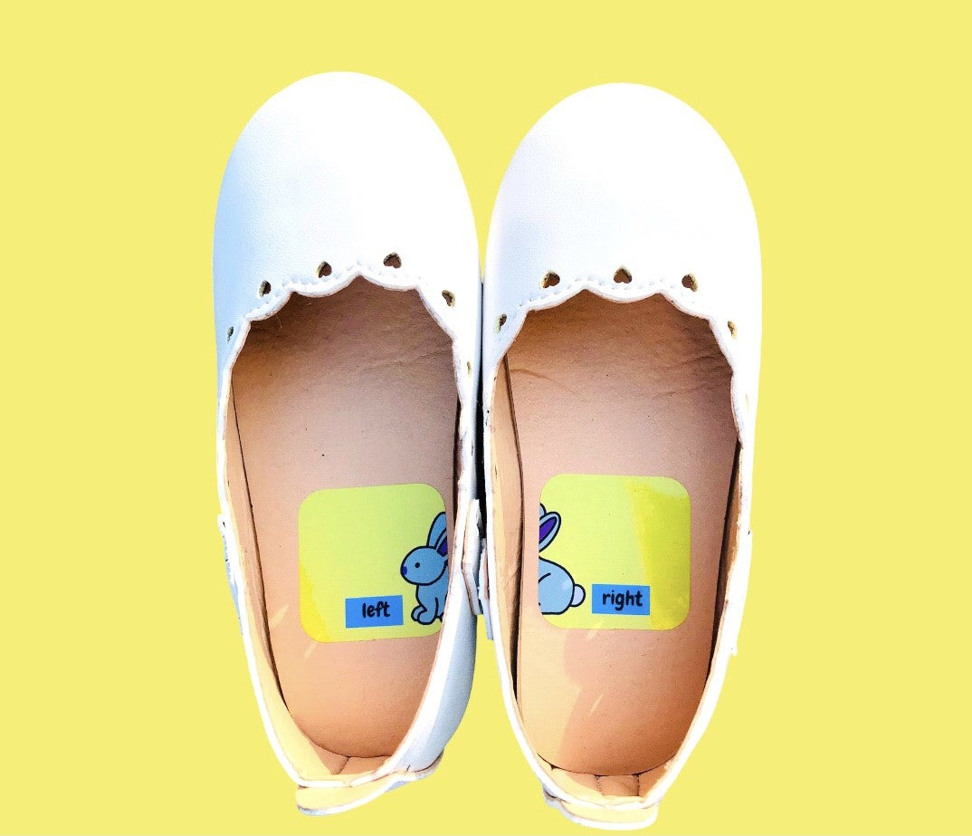 Zoo Pairs