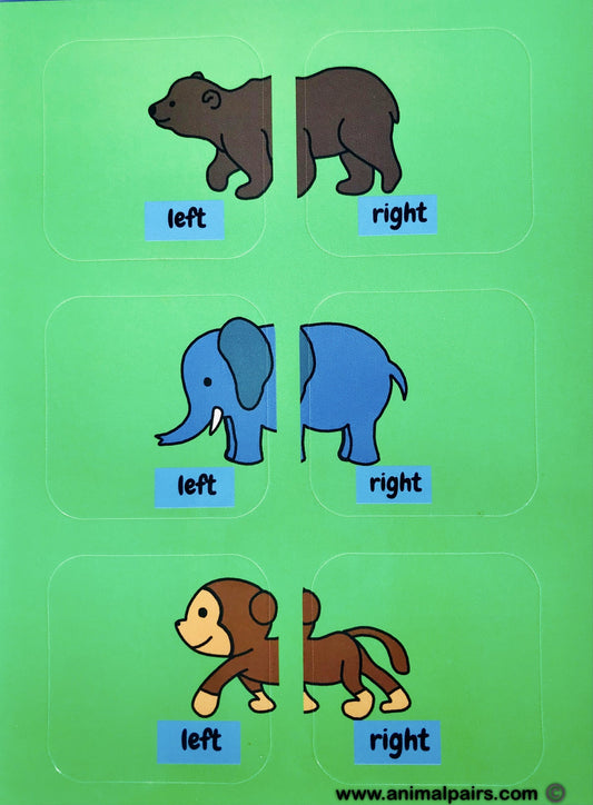 Zoo Pairs